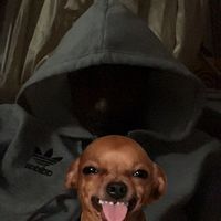 teerassfexr