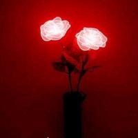 alishbaashraf21