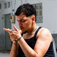 الصوت الأصلي