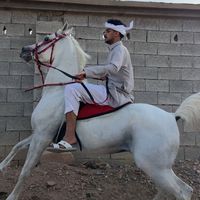 t.alamri0