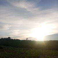suara asli - BONTANG 5 MEI