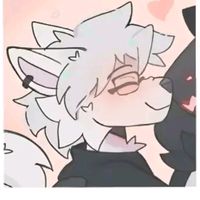 dog38555