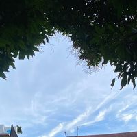 nalam.kawasan