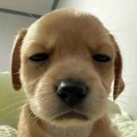 everyythingisgnarlyyy