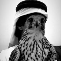 الصوت الأصلي