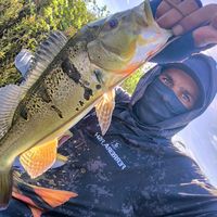 ferreirafish0731