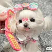 m__chan__chu