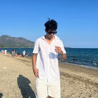 vincenzo_plays