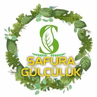 safuragulculuk