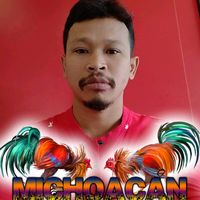 user20948625442583