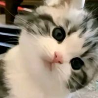 _htookhantnaing8