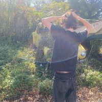 الصوت الأصلي