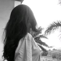 nolimit_84