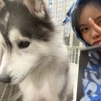 オリジナル楽曲 - どらごんしっぷ