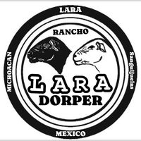 rancho.lara