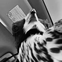 original sound - j2.wt