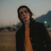 fabriziolangaricavargas