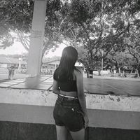 daira44455