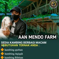 original sound - aanmend0farm