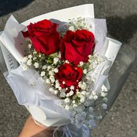 tasneem.gamag3