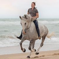 burrakool_equestrian