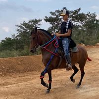estebanflorez53
