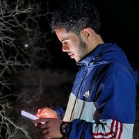 الصوت الأصلي