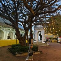 ei.thandar.htwe73