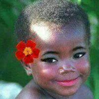 user204664138