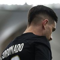 الصوت الأصلي