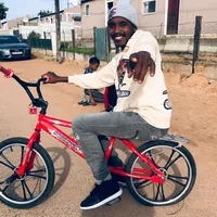 original sound - barkie_vieslik