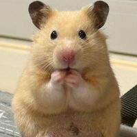 lllllllluuuuuuuuuxxxxoiv