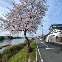 オリジナル楽曲 - Fukusaki.Gun