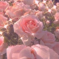 __astethics.sky__