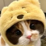 cubby_yaya