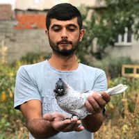 mustafamanisa