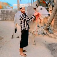 မူရင်းအသံ - လူဆိုးလေ ကိုကို  🤗786😘😘