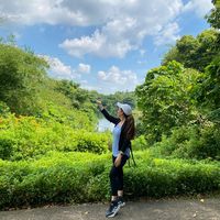 may_yang.mea