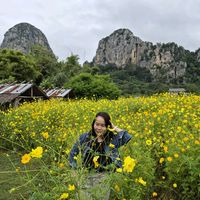 เสียงต้นฉบับ - noi ผัสสพร