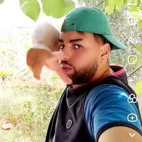 tadjou_hls_31