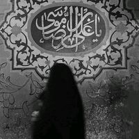 ll.zrl
