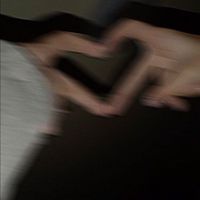 nisqxylx