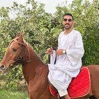 original sound - nour_elshar