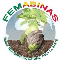 femabinas.agrobusiness