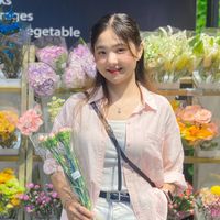 dao_daily99