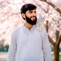 habib.ads.expert