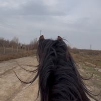 qaqash_mm