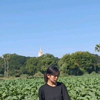 original sound - 🍒