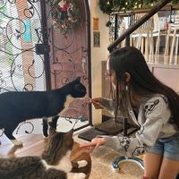 paulina_cardenas1