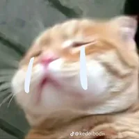 original sound - thnh.ff_